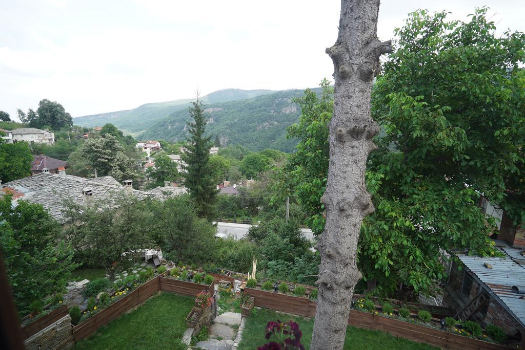 Villa Pisanata House Dedovo Esterno foto